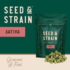 Mega Squirt | Seed and Strain - Popcorn