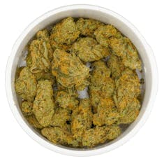 Golden Skunk