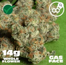 Gas Face Flower | T20.15 | 41238 | 14g"