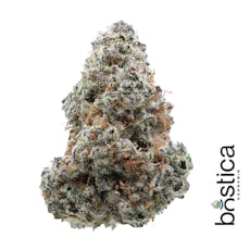 Bostica - Mind Melt Flower