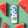 Hi5 THC Seltzer: Watermelon Single Can (22.7mg)