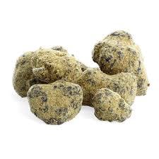 Querque Cough