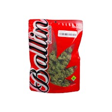 Kush