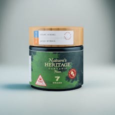 Lilac Diesel