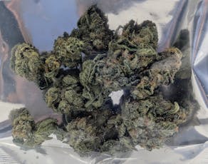 Alien OG
