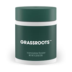 Cheddar Cheeze | Grassroots - Popcorn