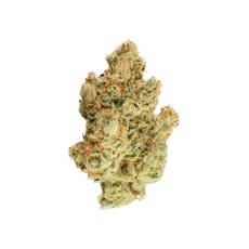 Orange Tree