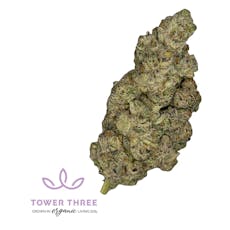 Tower Three - Gyros Flower
