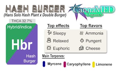 Hash Burger / 3.5g