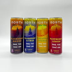North Vibes Higher Vibes THC Sparkling Water / Blueberry Citrus