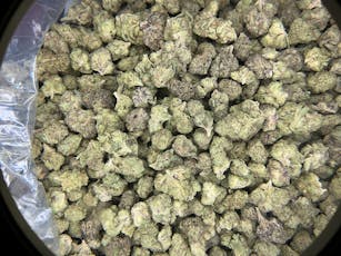 Papaya Punch Smalls THCa Hemp Flower / 28 Grams (1 Oz)