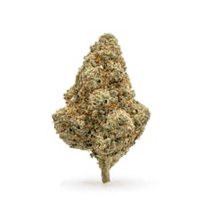 THCa Flower Tangie / 1 g