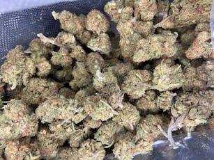 Lemon OG (Budget) - Lightly Seeded / 1 Gram