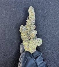 Vice City 41 THCA / Ounce