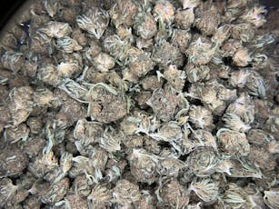 Bubba Smalls CBD Flower (Budget) / 1 Gram