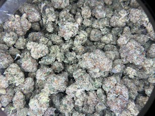 Headband THCAa Flower / 3.5 Grams (1/8)