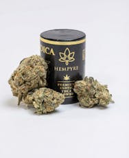 Purple Zkittles 1g INDICA (Top Shelf)