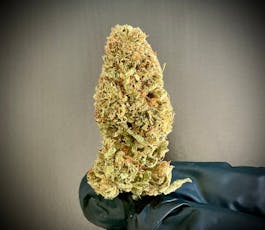 Blueberry Waffles CBD / 1 gram