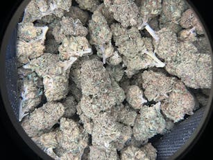 Berry Pie CBD Flower (Budget) / 1 Gram