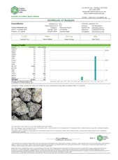 Guccizz Luxury High THCA Pre-Rolls (1.2G) 1-ct / Caramel Apple (H) 30%