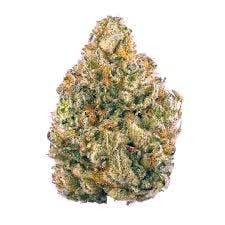 MULE FUEL