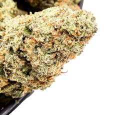 Gelato 41 Premium THCA Flower / 3.5g