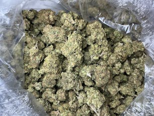 Dante Inferno THCa (Indoor) / 28 Grams (1 Oz)