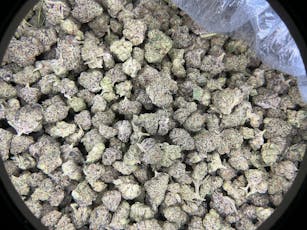 Chapel Of Love THCa Flower (Indoor) / 28 Grams (1 Oz)