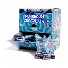 DayTripper Mushroom Chocolate / Milk Chocolate Crunch - 1pc