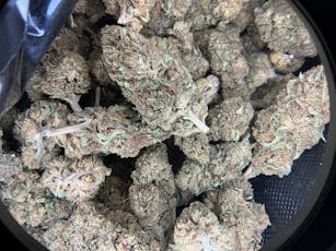 Royal OG CBD Flower (Budget) / 1 Gram