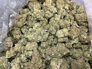 Sherblato THCa Flower (Indoor) / 28 Grams (1 Oz)