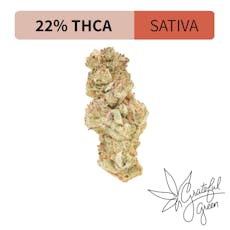 Alien Hallucination - Exotic