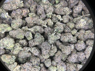 Alaskan Thunder F*ck THCa Flower (Exotic) / 14 Grams (1/2 Oz)