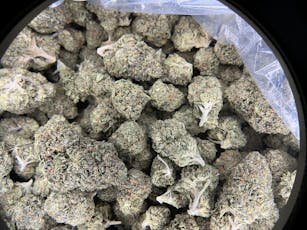 Double Runts THCa Flower (Indoor) / 28 Grams (1 Oz)