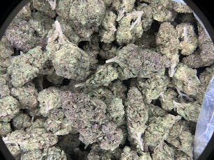 Rainbow Belts THCa Flower (Indoor) / 28 Grams (1 Oz)