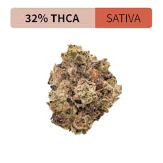 Purple Stardawg - Exotic