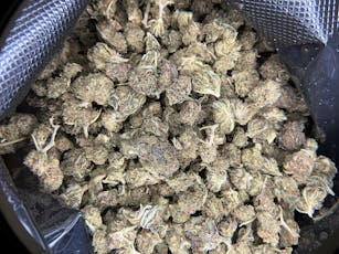 Cakeberry Smalls CBD Flower / 1 Gram