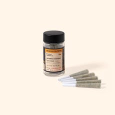 Wildwood THCa Live Resin Core Infused Prerolls / Tiger's Blood (Sativa)